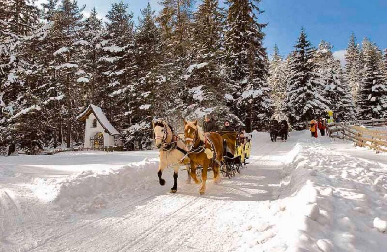 Appartmenthaus Birkenwald Seefeld in Tirol Esterno foto