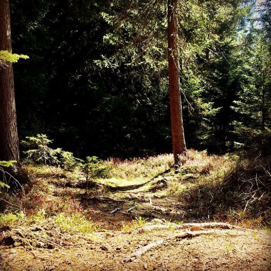 Appartmenthaus Birkenwald Seefeld in Tirol Esterno foto