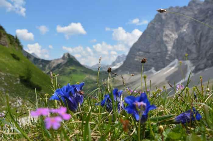 Appartmenthaus Birkenwald Seefeld in Tirol Esterno foto