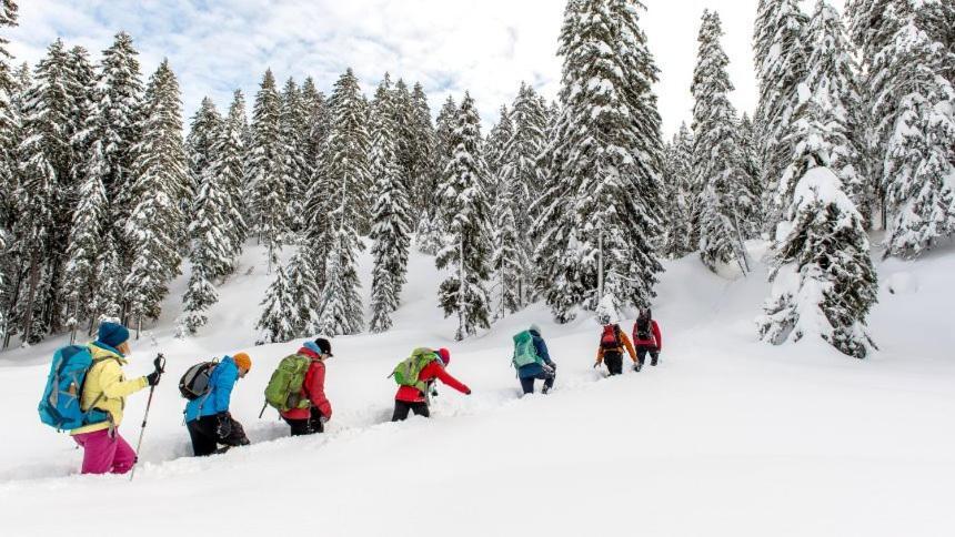 Appartmenthaus Birkenwald Seefeld in Tirol Esterno foto